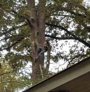 Meet your Posher, Eugene